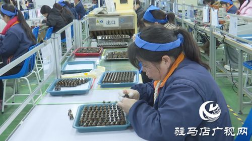 泌陽銘普電子 以科技為引擎，沖刺首季開門紅，引領(lǐng)通信技術(shù)新浪潮